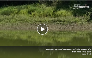 מים - חלום הבלהות של פלינט במישיגן עלול להתרחש בישראל