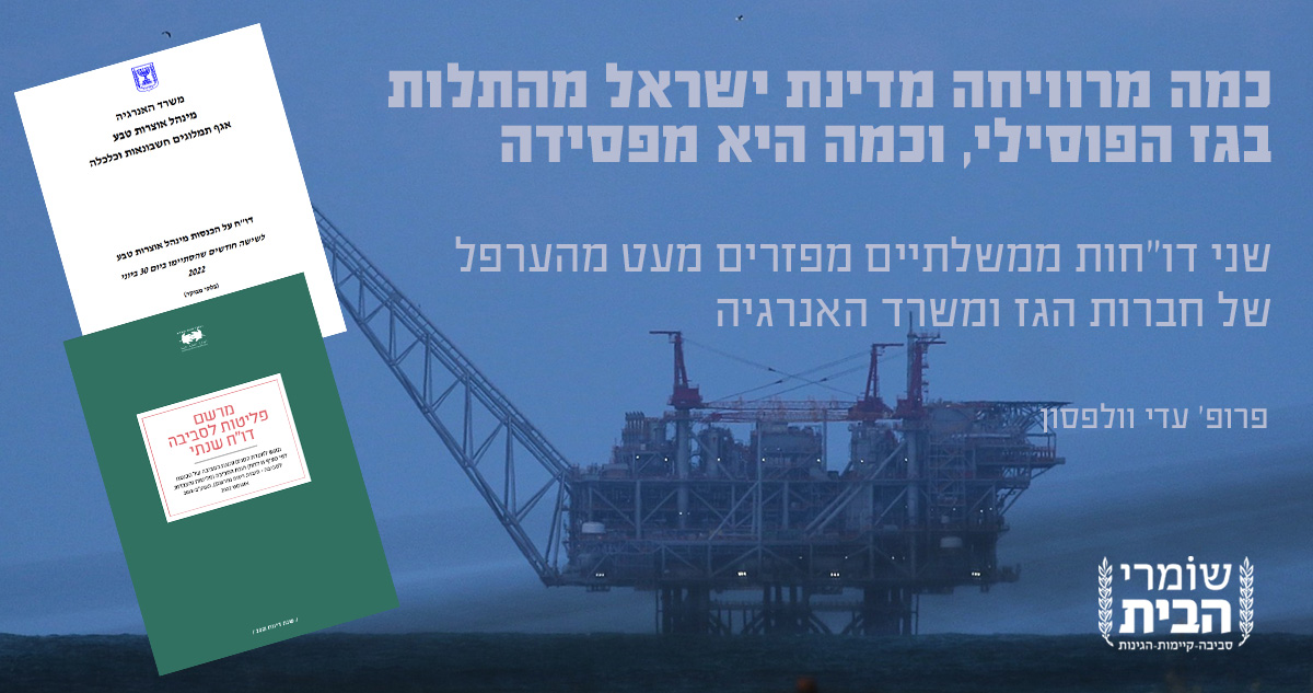 כמה מרוויחה ומפסידה מדינת ישראל מהתלות בגז הפוסילי?